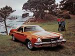 Chevrolet El Camino SS 1973 года